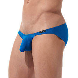 Torridz Brief £28