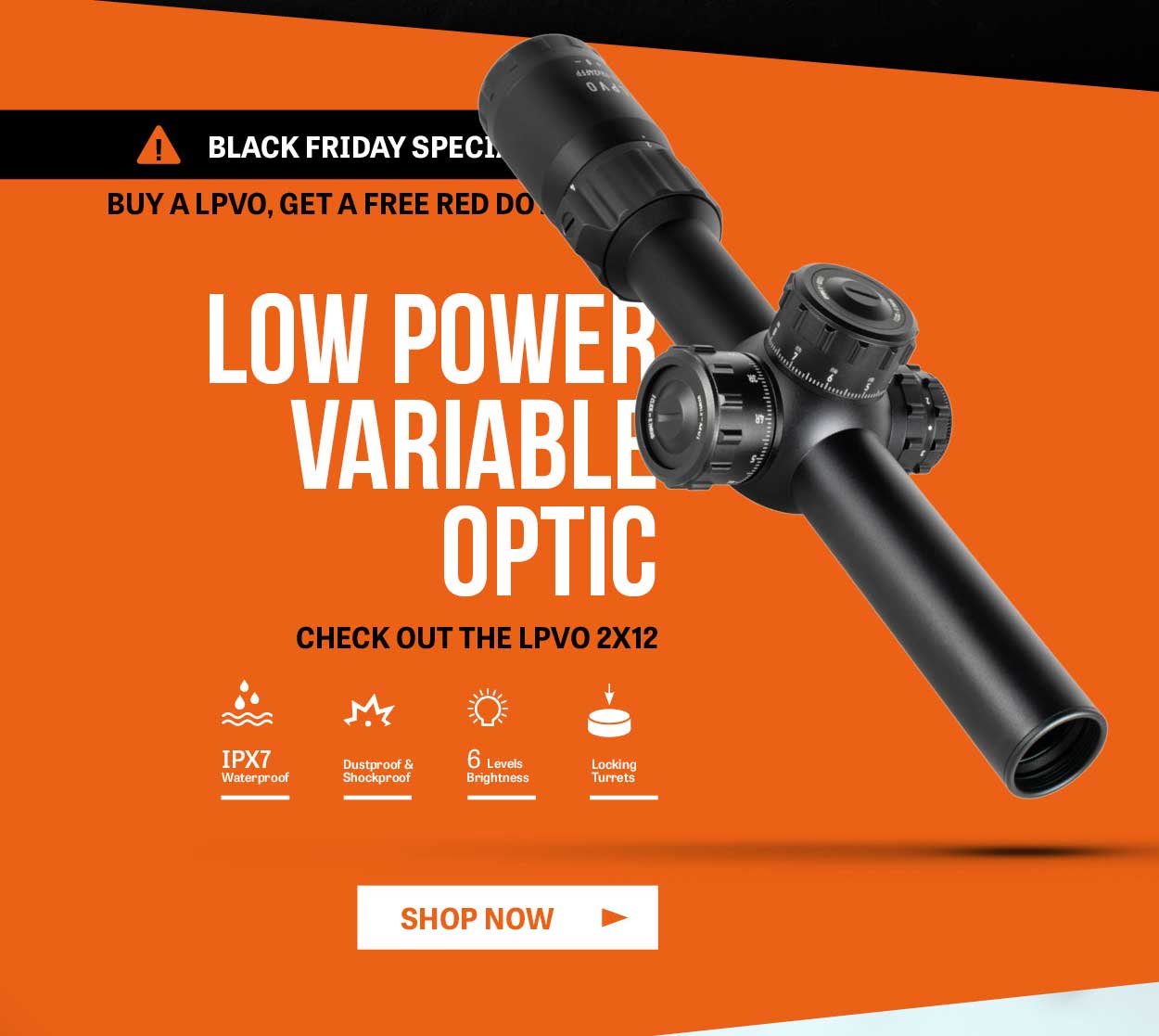 BLACK FRIDAY SPECIAL