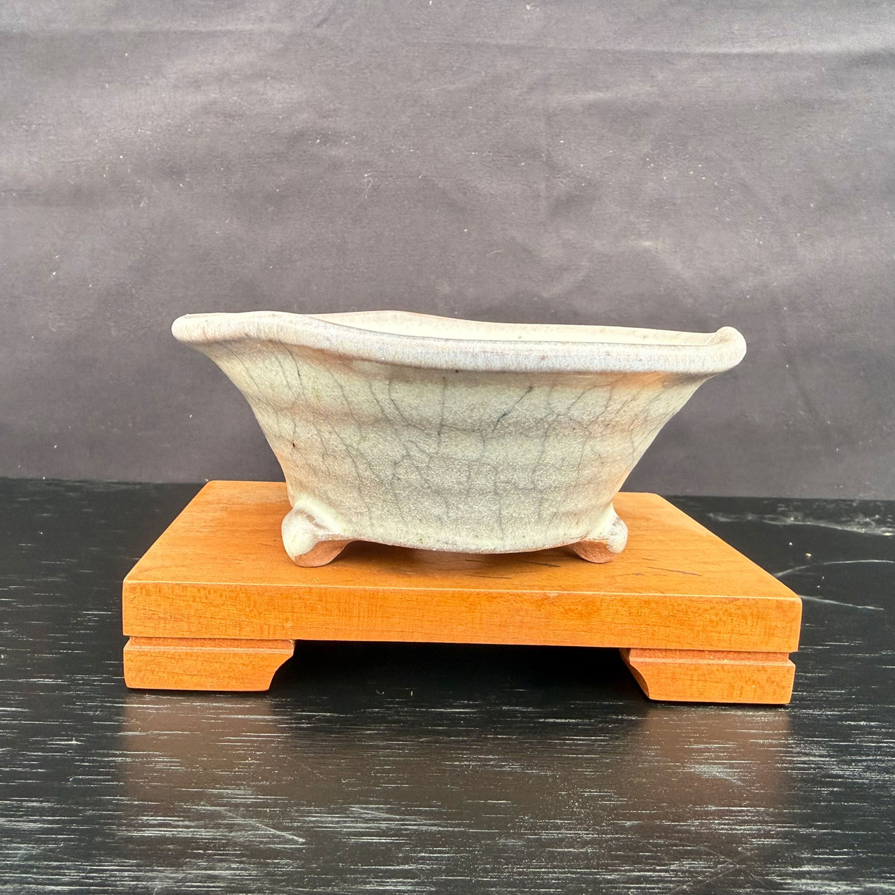 Literati Whit Pine Bonsai